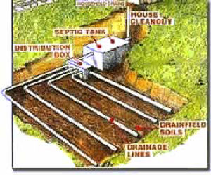 diagram of septic system and drain field